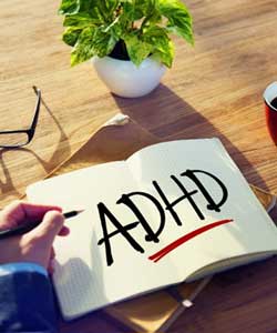 ADHD Treatment Specialist Near Me in Boulder, CO